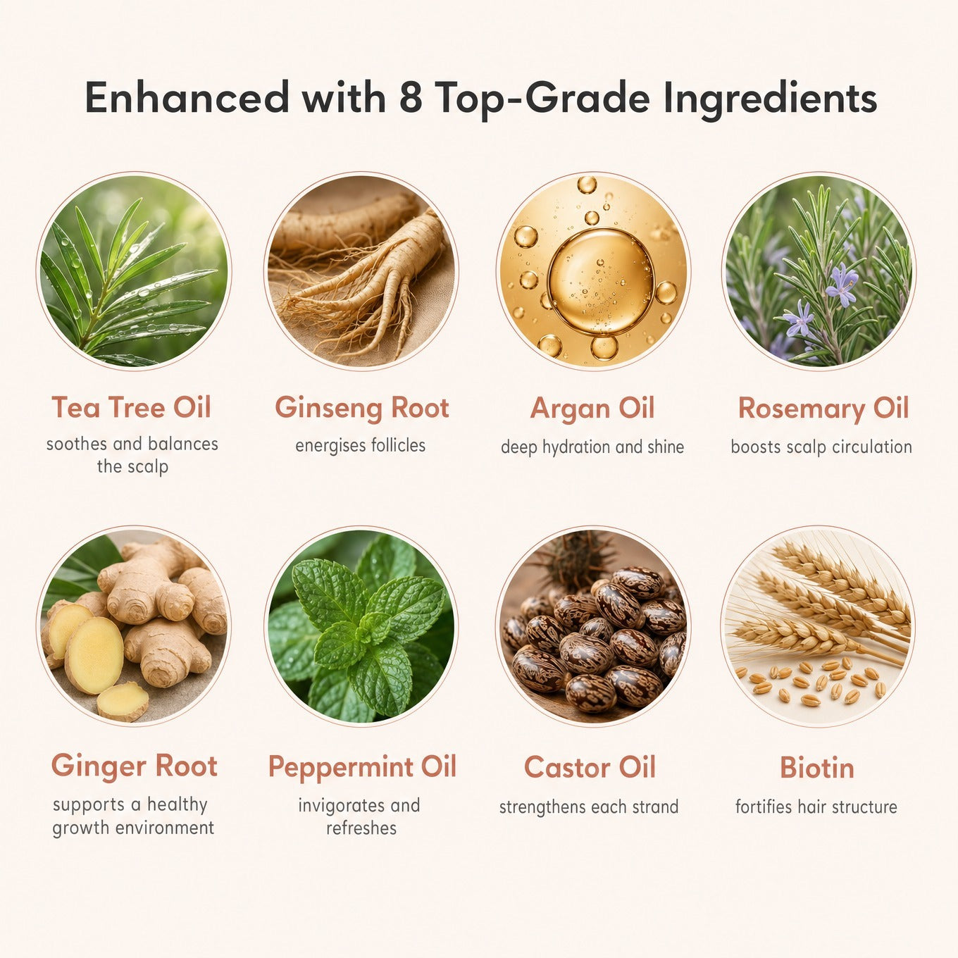 List of top-grade ingredients used in a product, each with an icon and brief description.